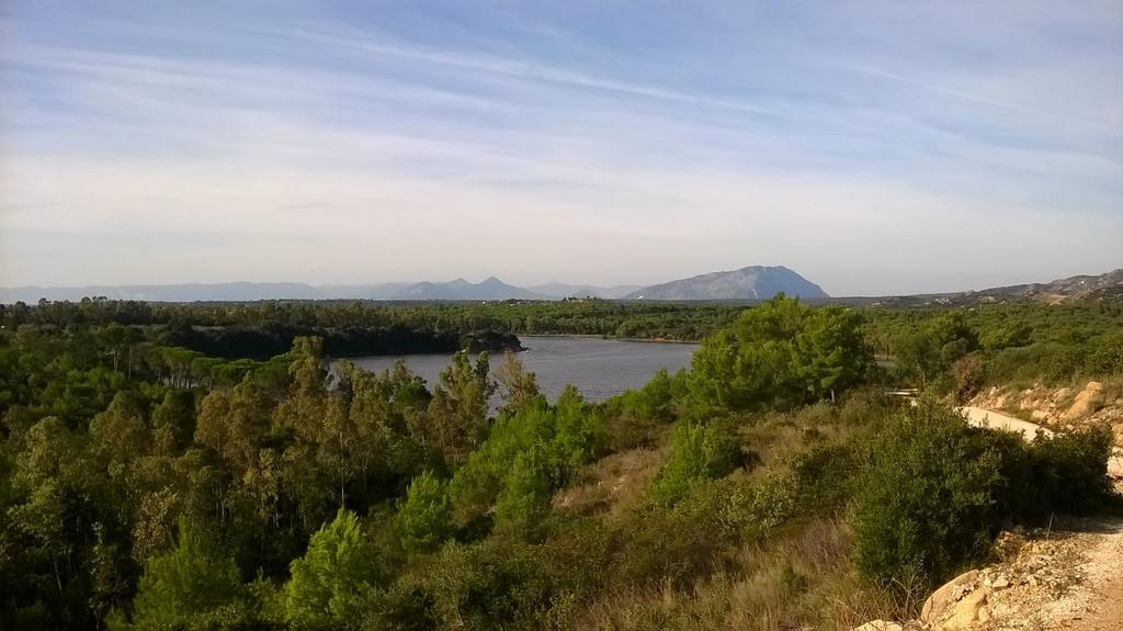 Appartamento Gli Ontani Cala Liberotto Buitenkant foto