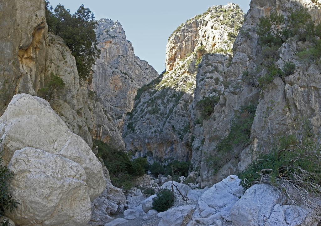 Appartamento Gli Ontani Cala Liberotto Kamer foto